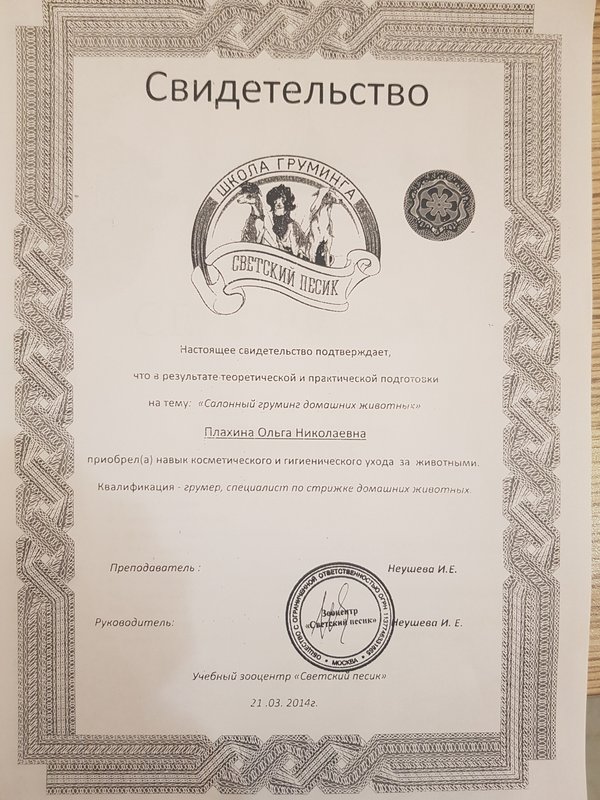 Документ или сертификат