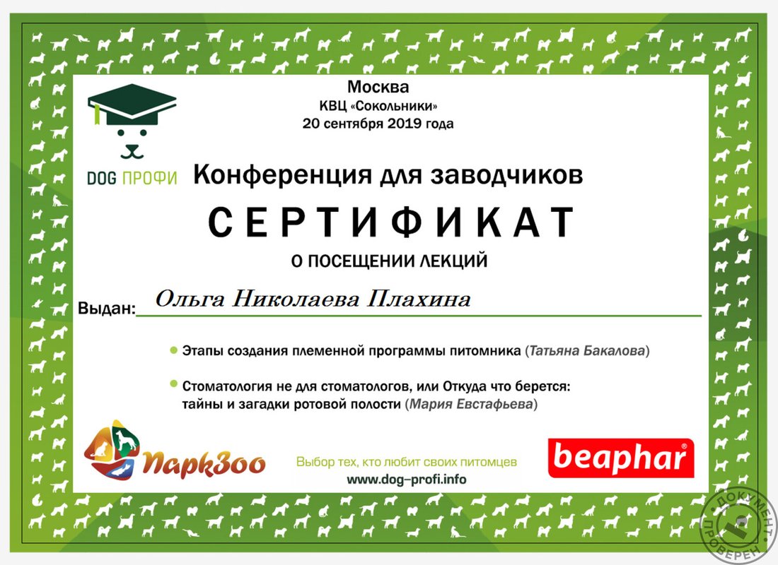 Документ или сертификат