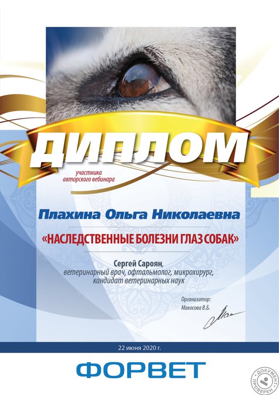 Документ или сертификат