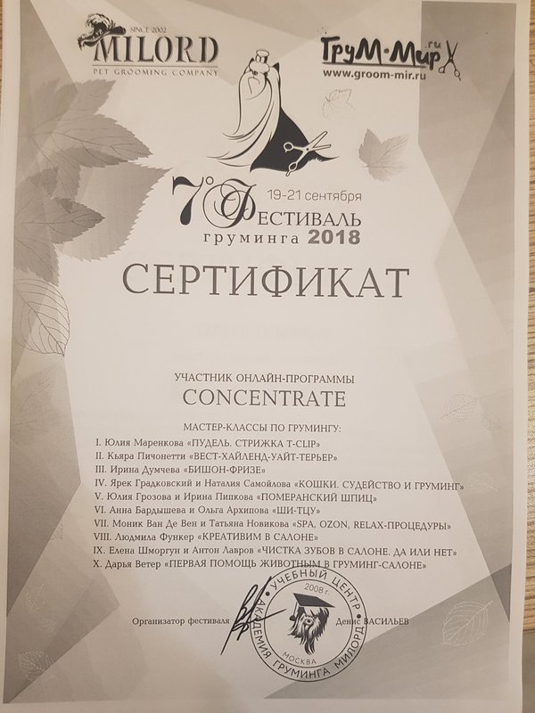 Документ или сертификат