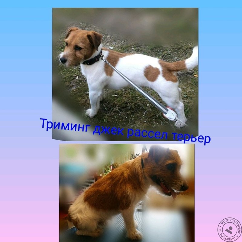 Фото врача
