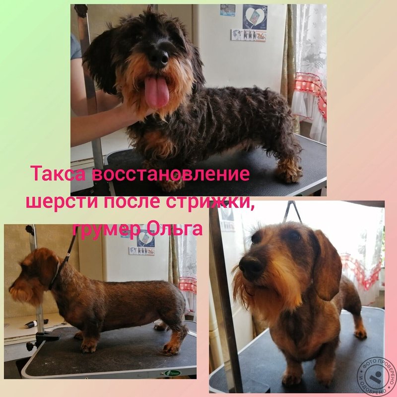 Фото врача