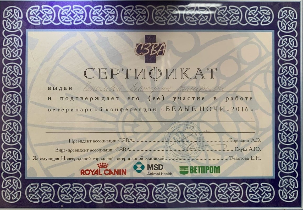 Документ или сертификат