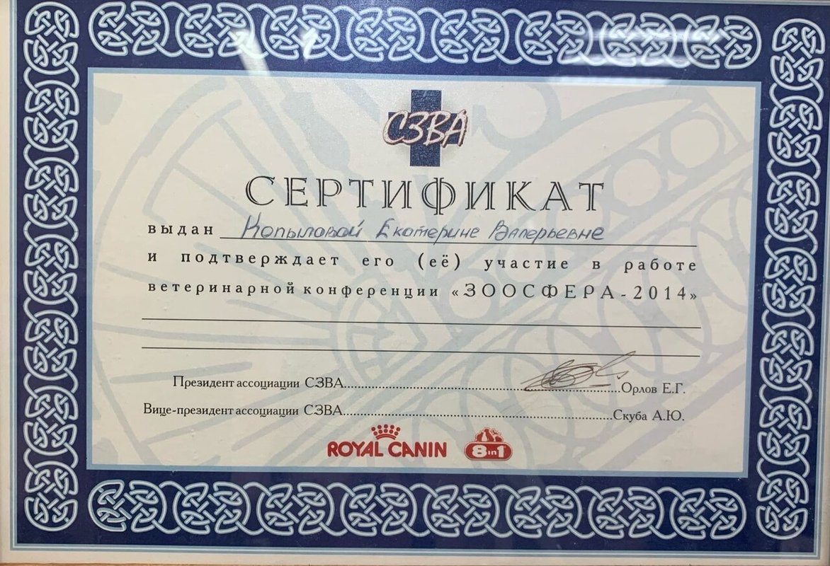 Документ или сертификат