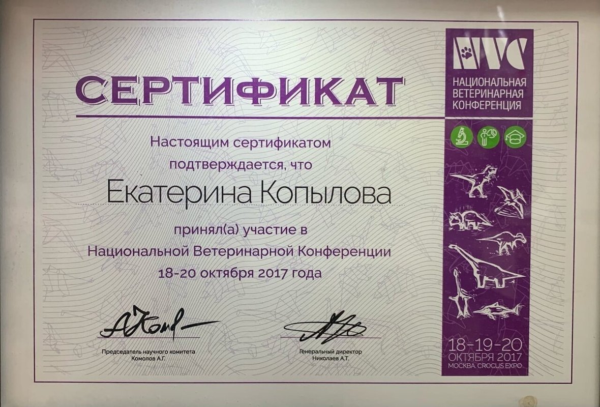 Документ или сертификат