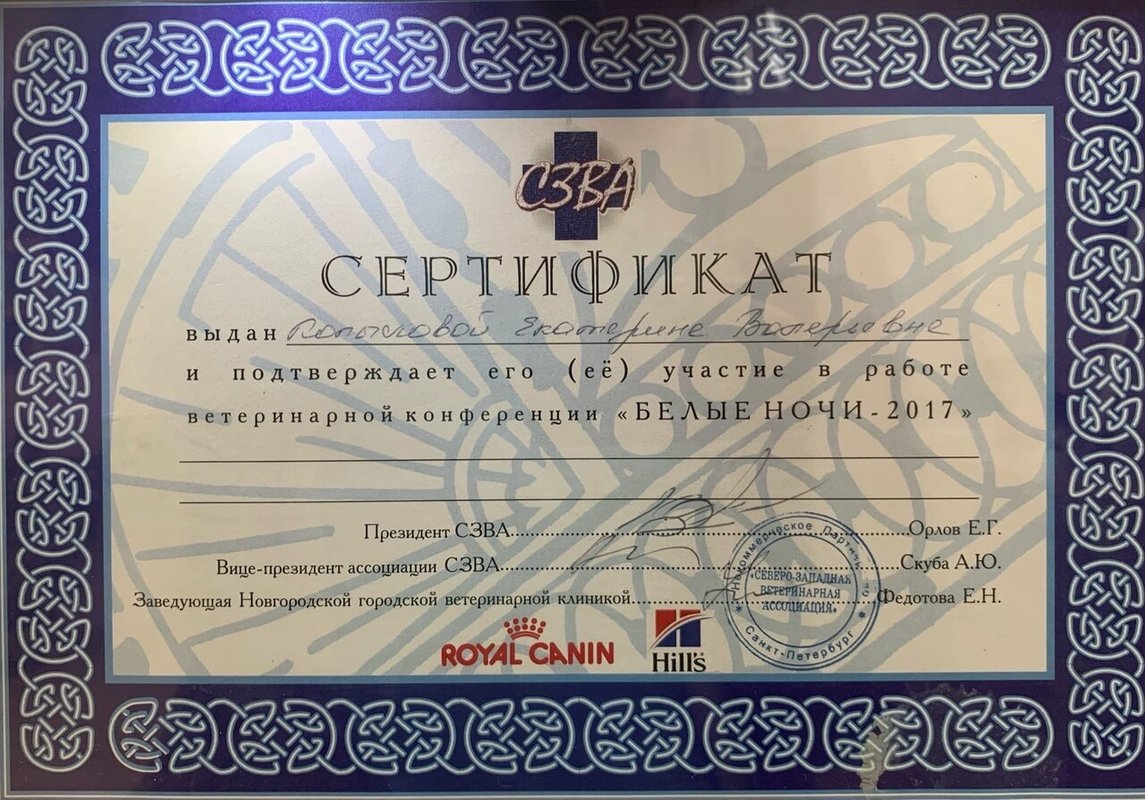 Документ или сертификат