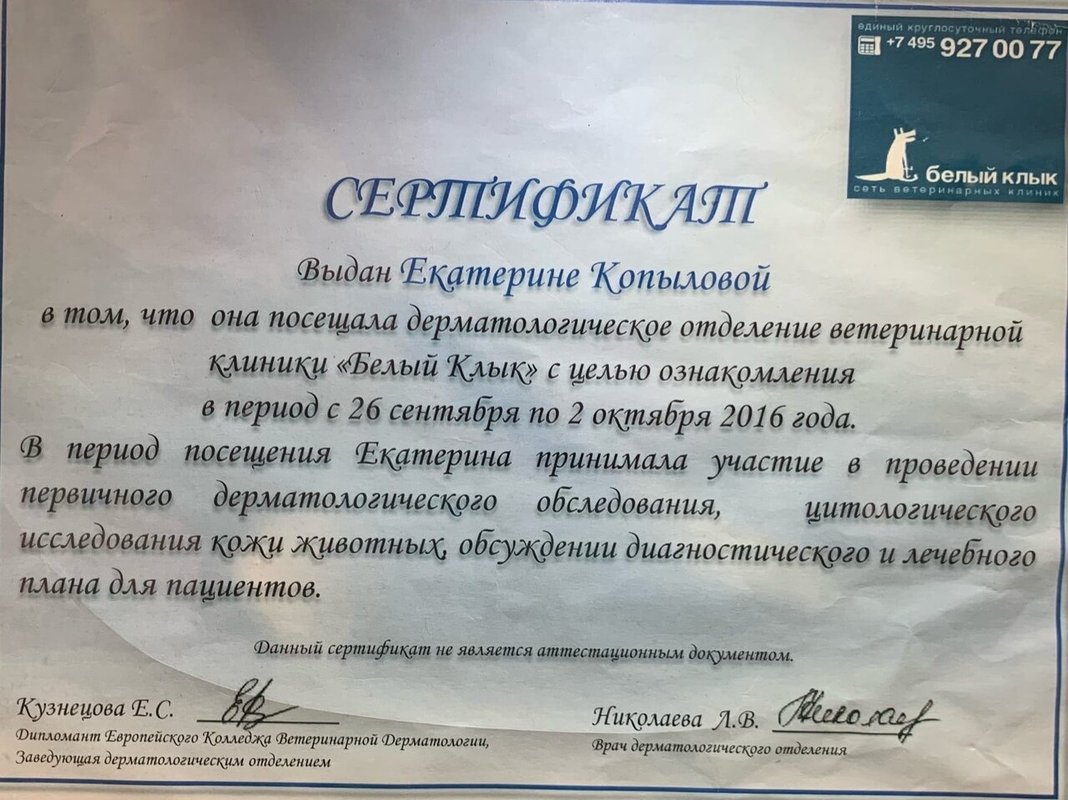Документ или сертификат