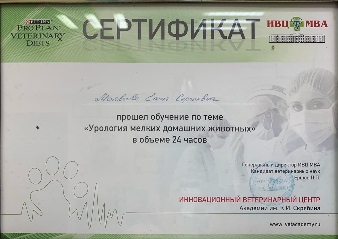 Документ или сертификат