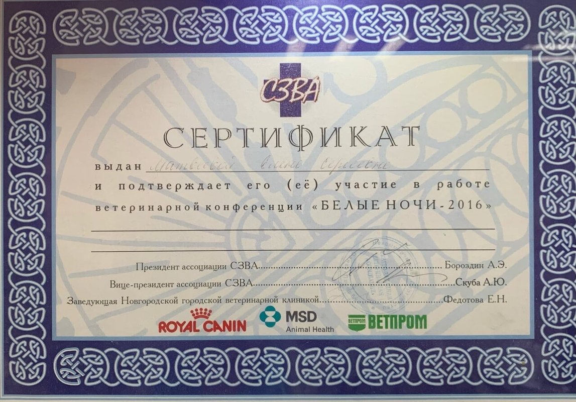 Документ или сертификат