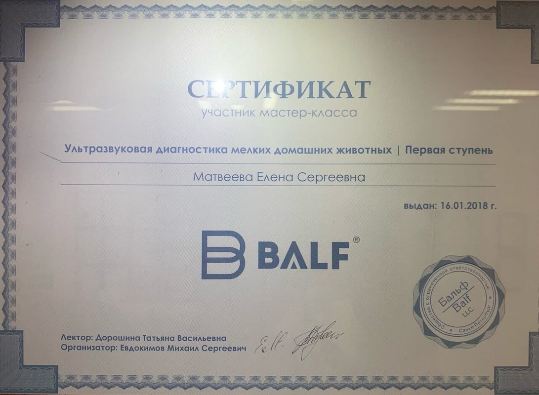 Документ или сертификат