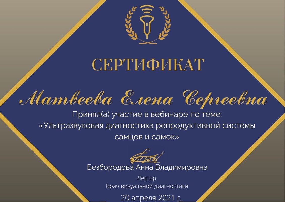 Документ или сертификат