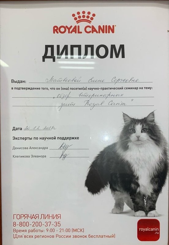 Документ или сертификат