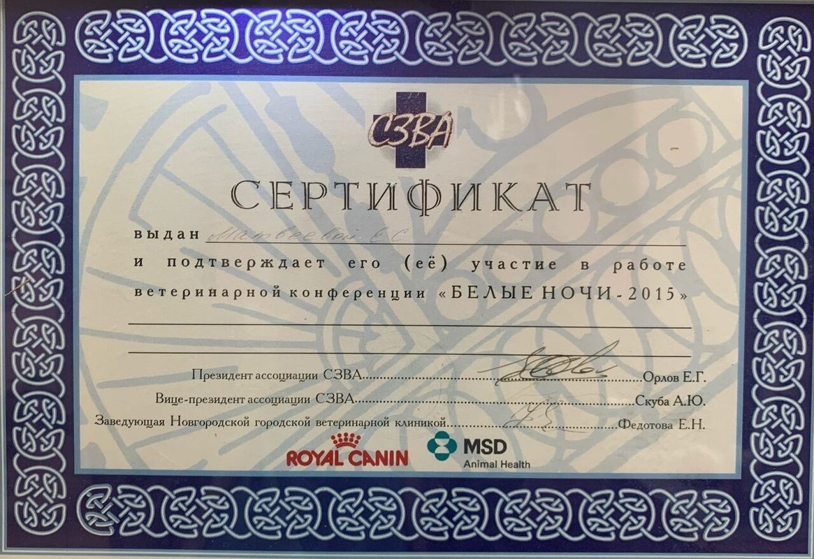 Документ или сертификат