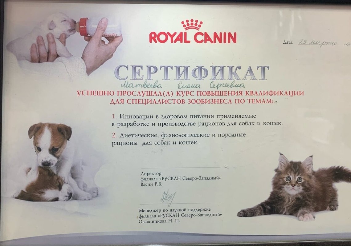Документ или сертификат