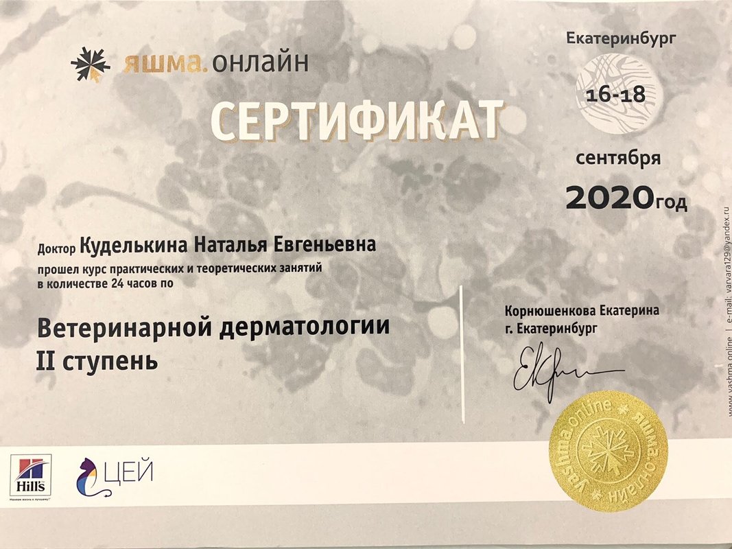 Документ или сертификат