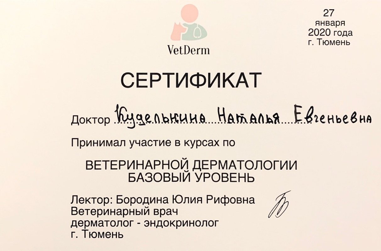Документ или сертификат