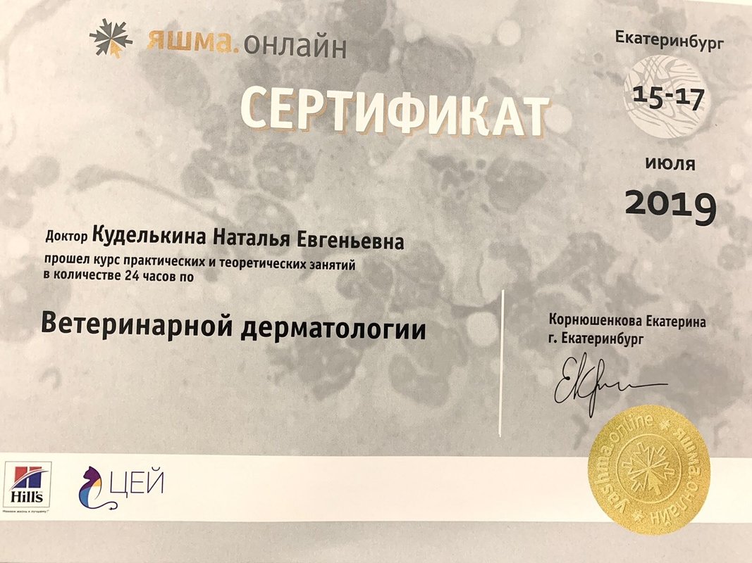 Документ или сертификат