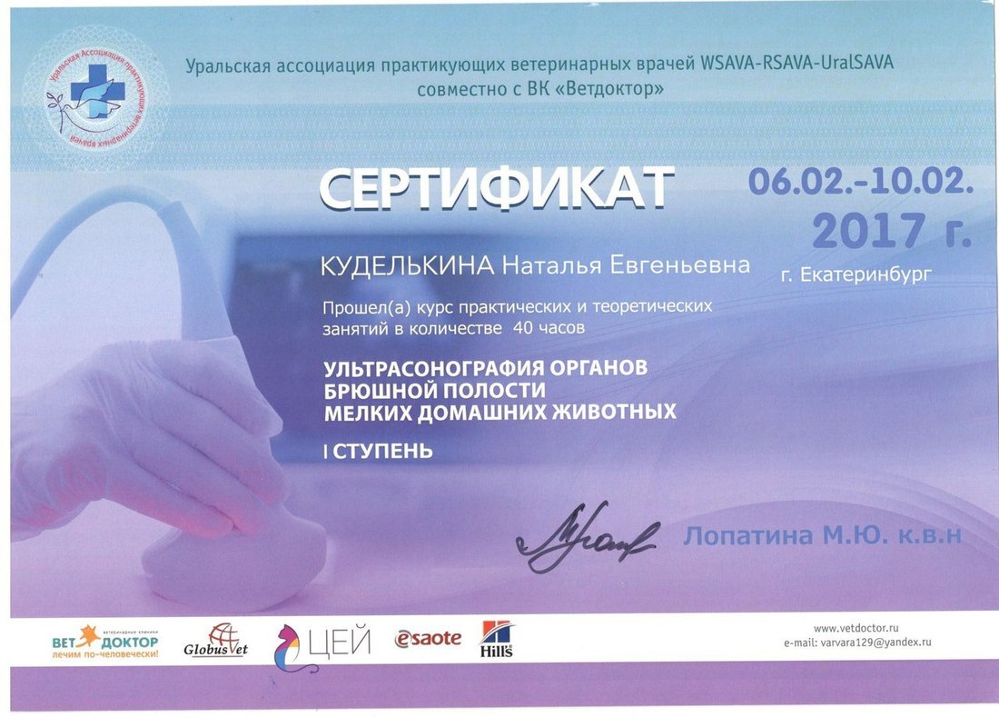 Документ или сертификат
