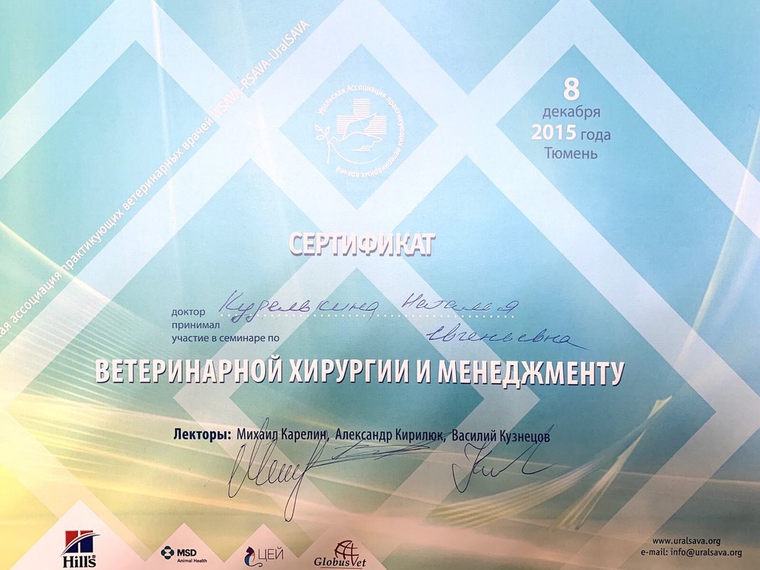 Документ или сертификат