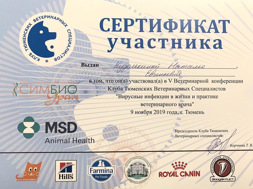 Документ или сертификат