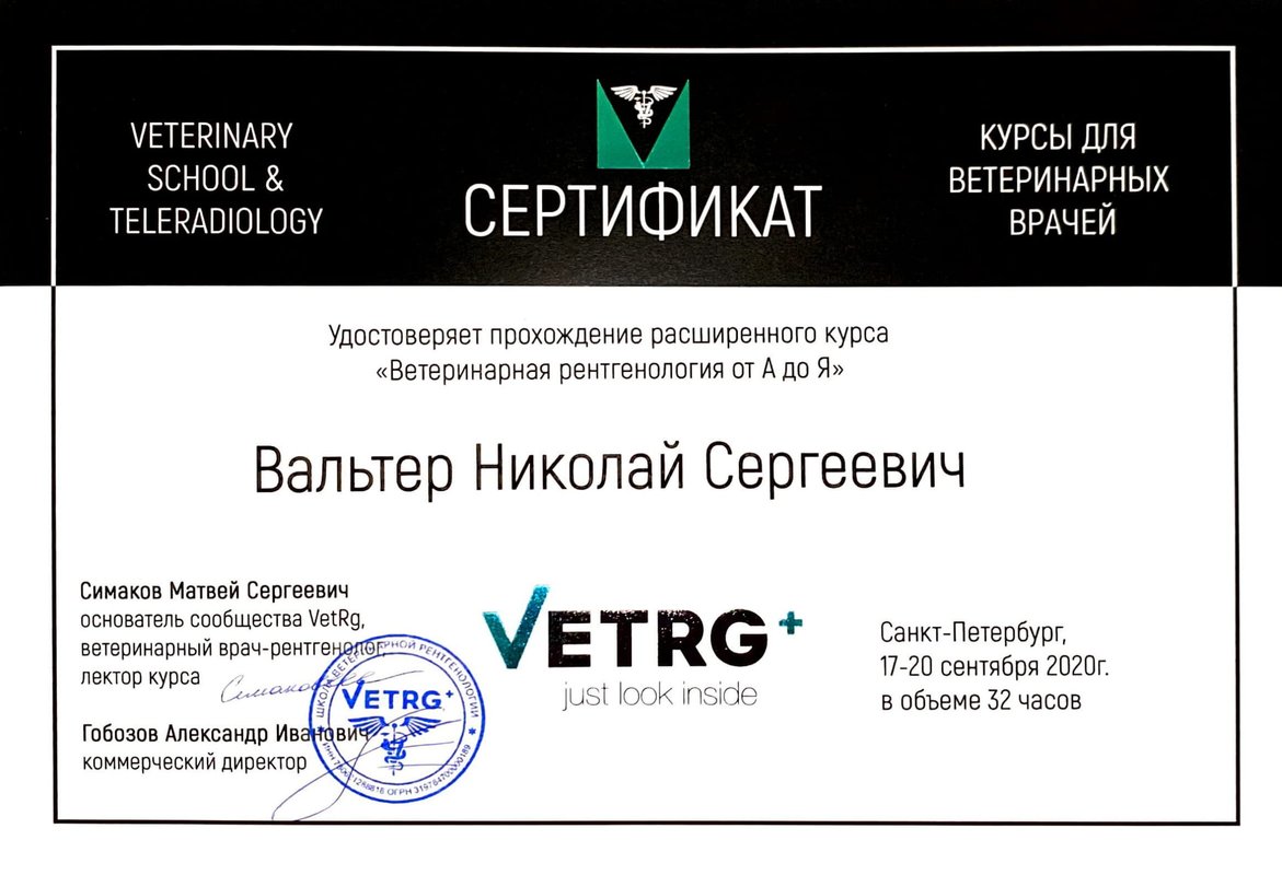 Документ или сертификат