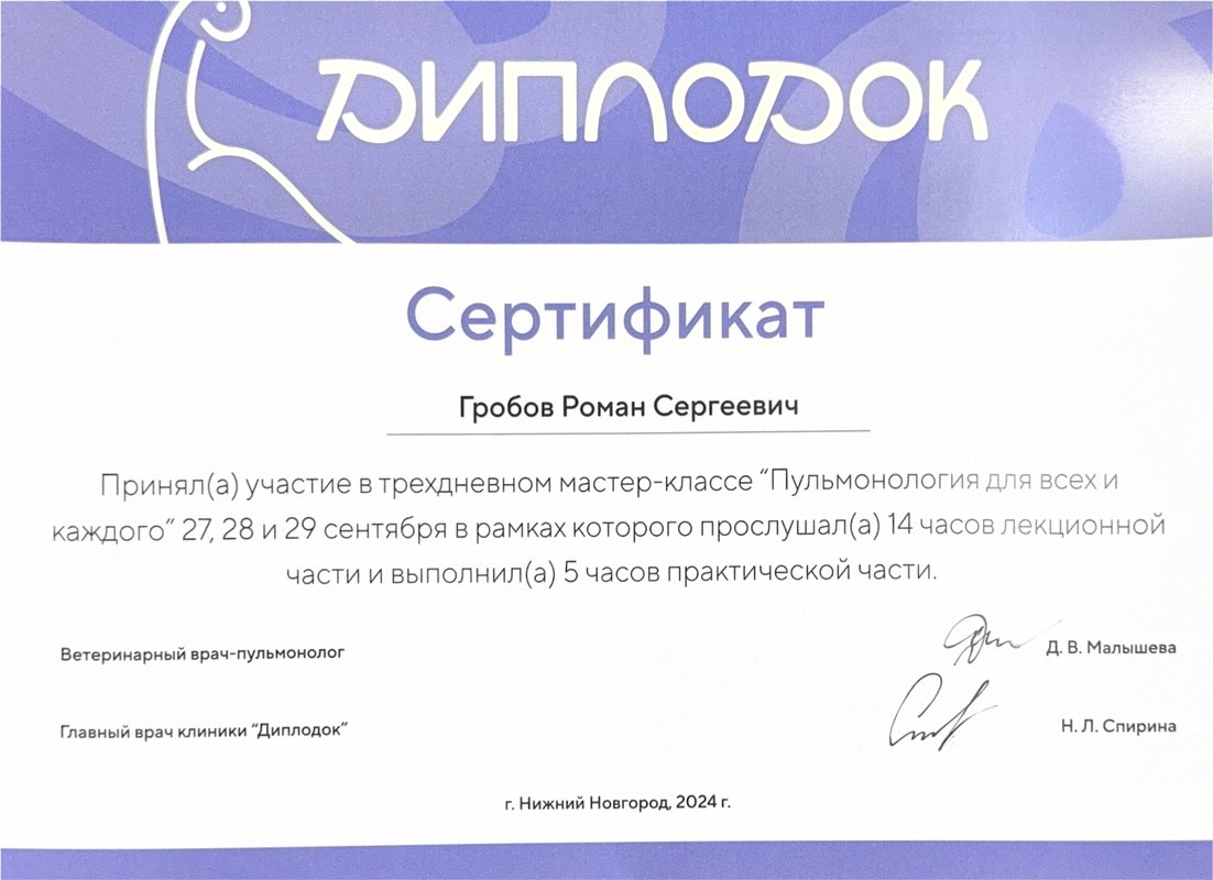 Документ или сертификат
