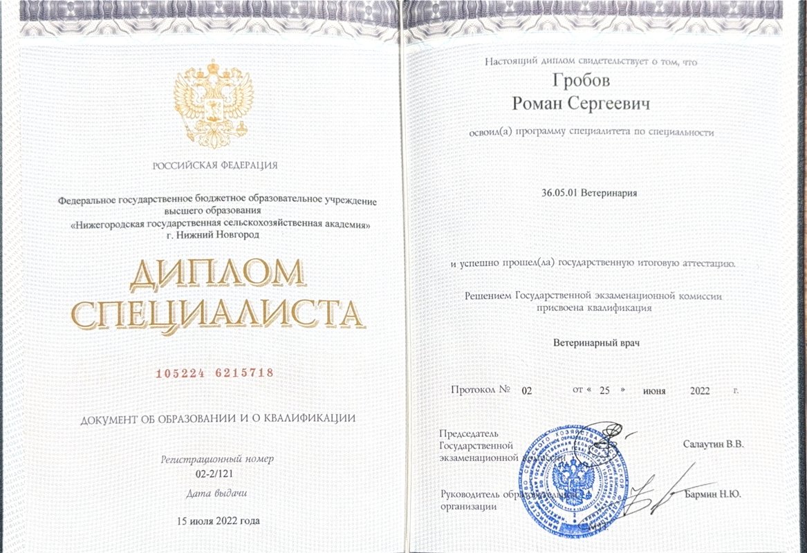 Документ или сертификат