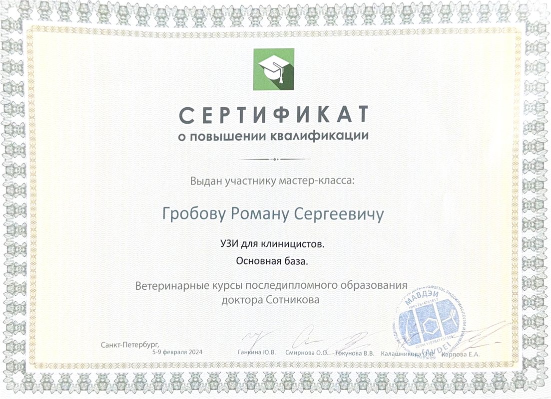 Документ или сертификат