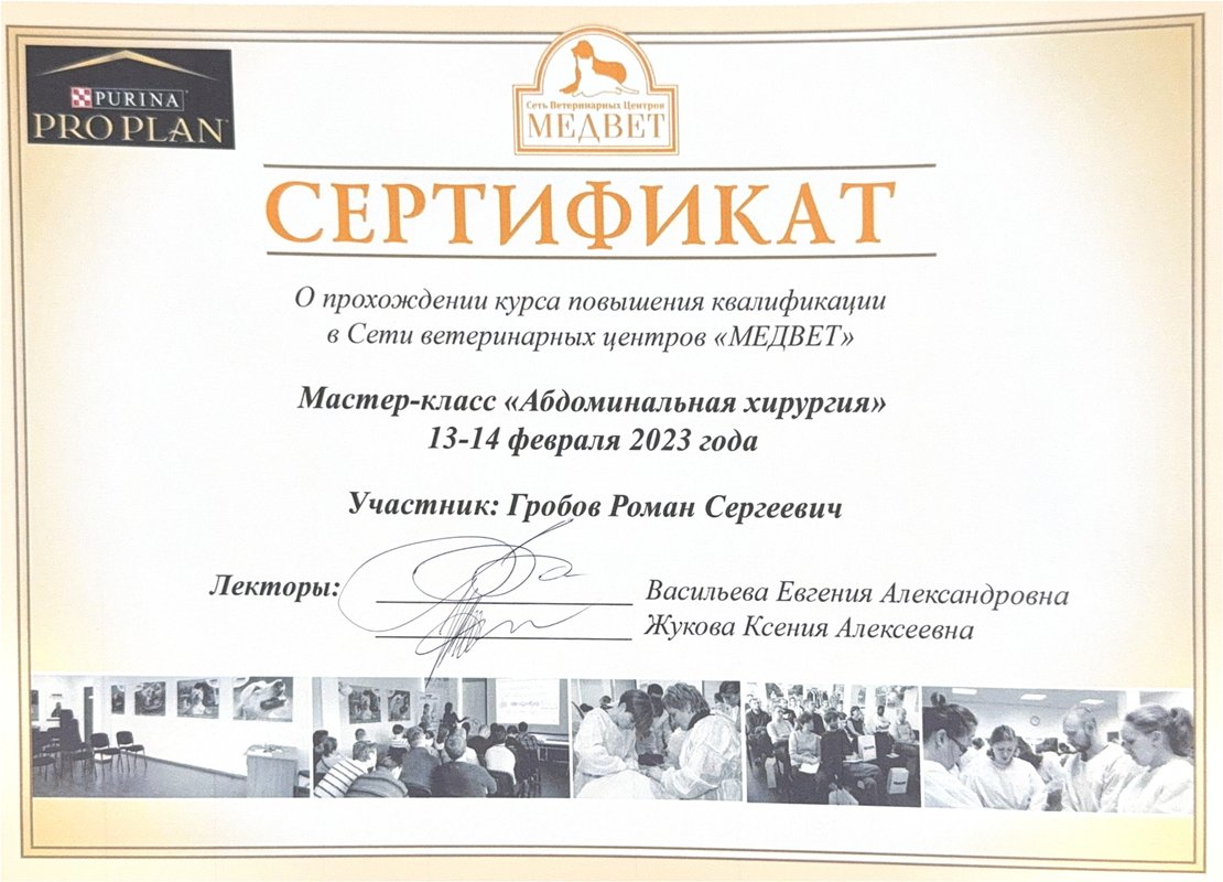 Документ или сертификат