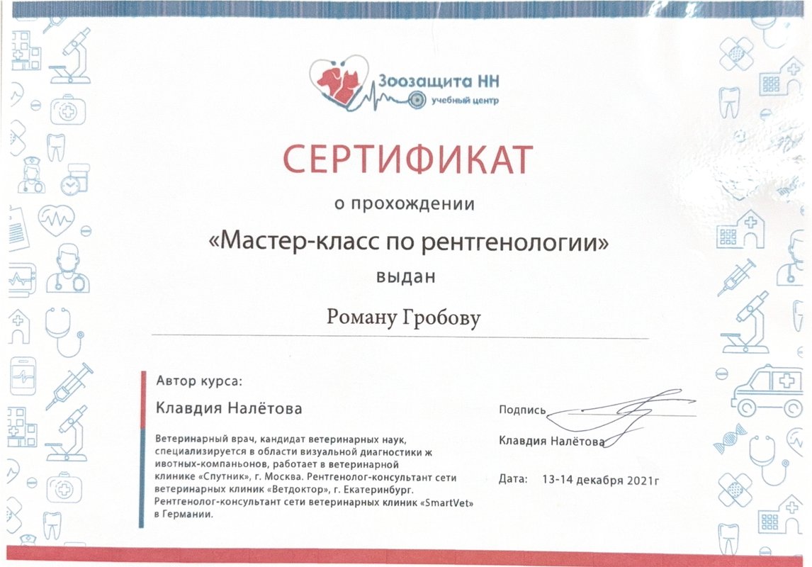 Документ или сертификат
