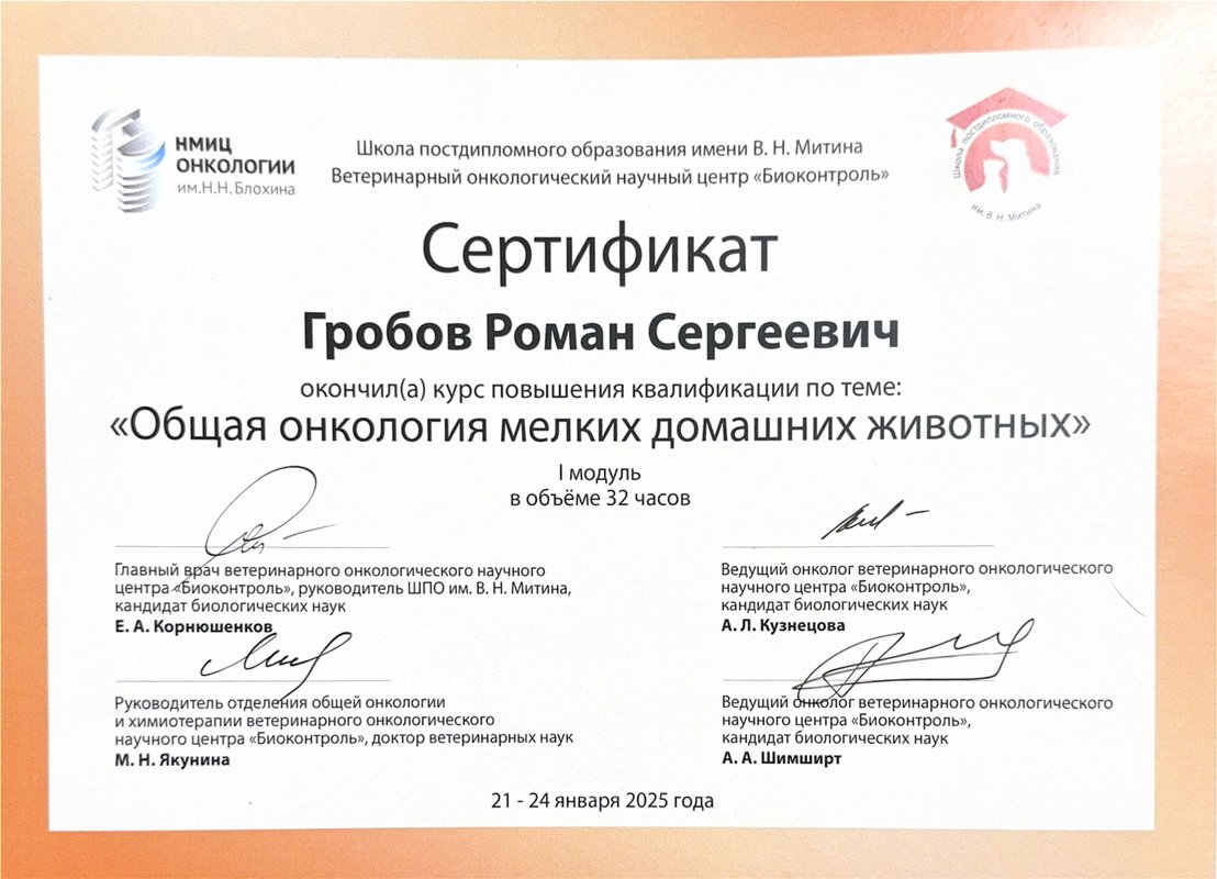 Документ или сертификат