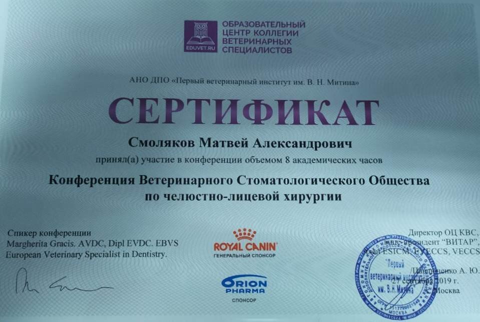 Документ или сертификат