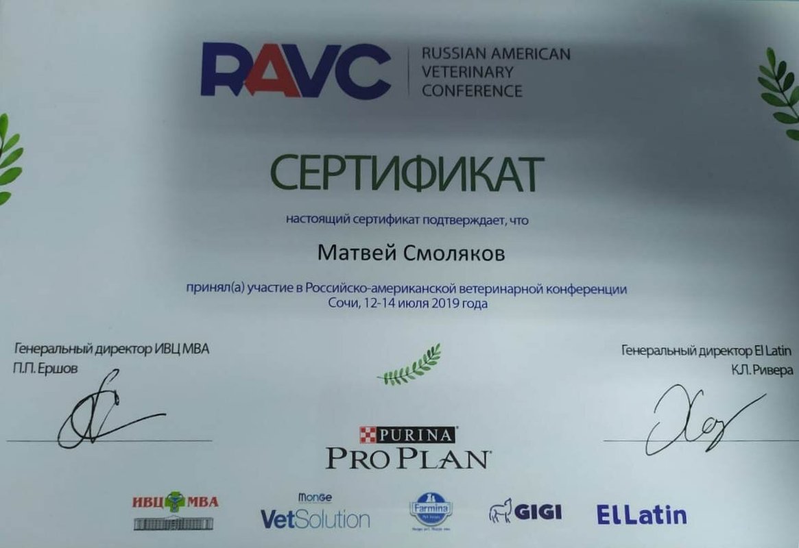 Документ или сертификат