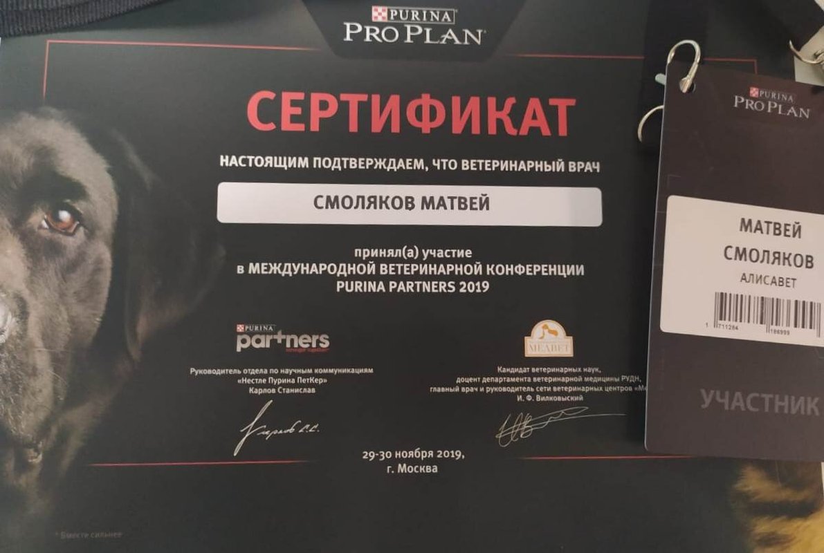 Документ или сертификат