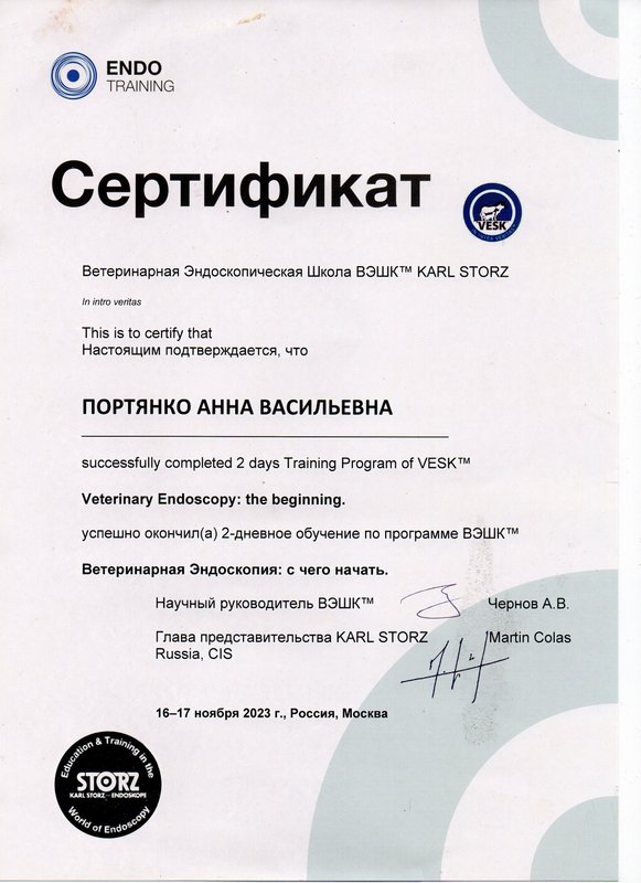 Документ или сертификат