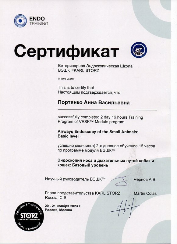 Документ или сертификат