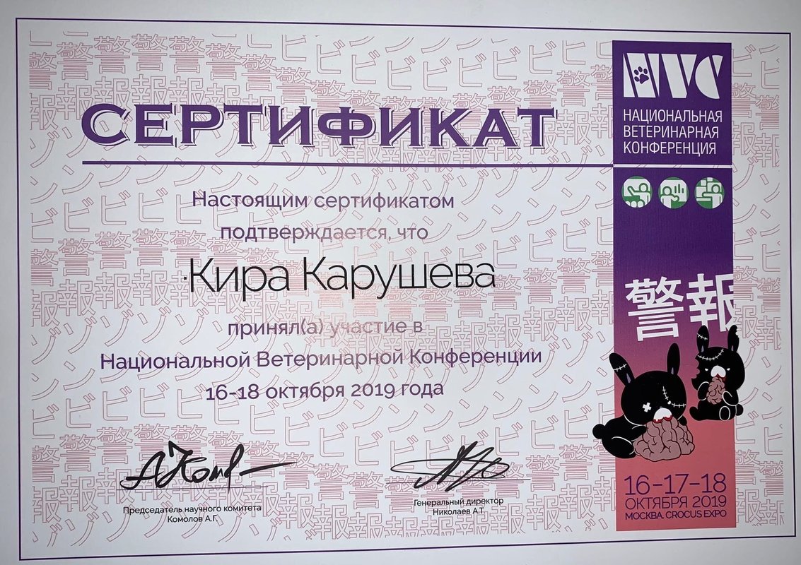 Документ или сертификат