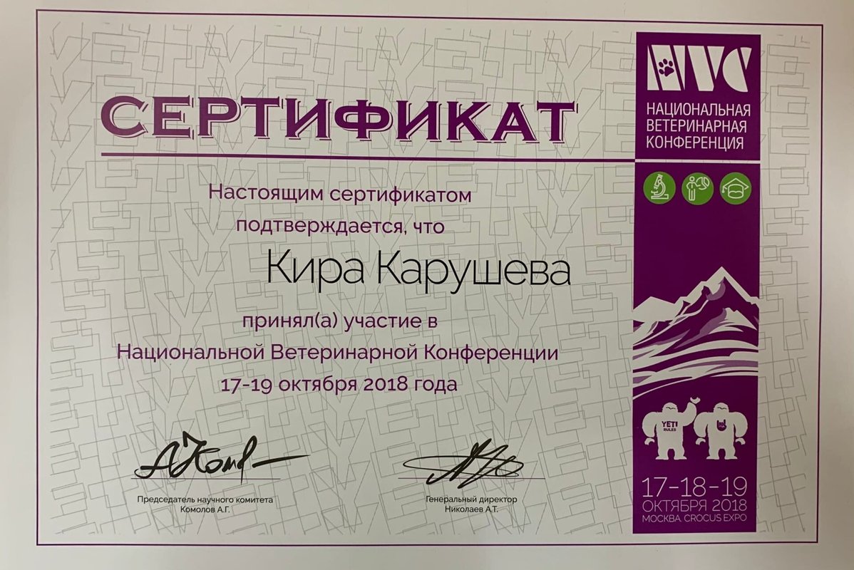 Документ или сертификат