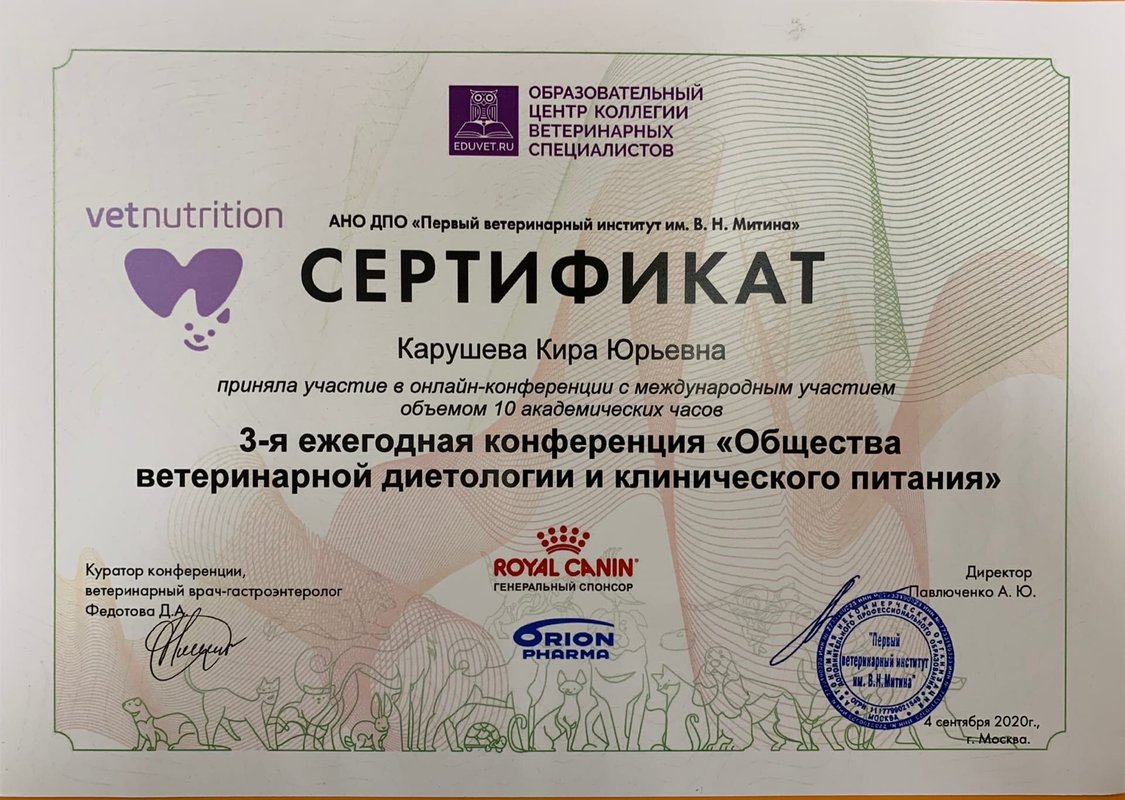 Документ или сертификат