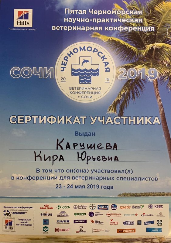 Документ или сертификат