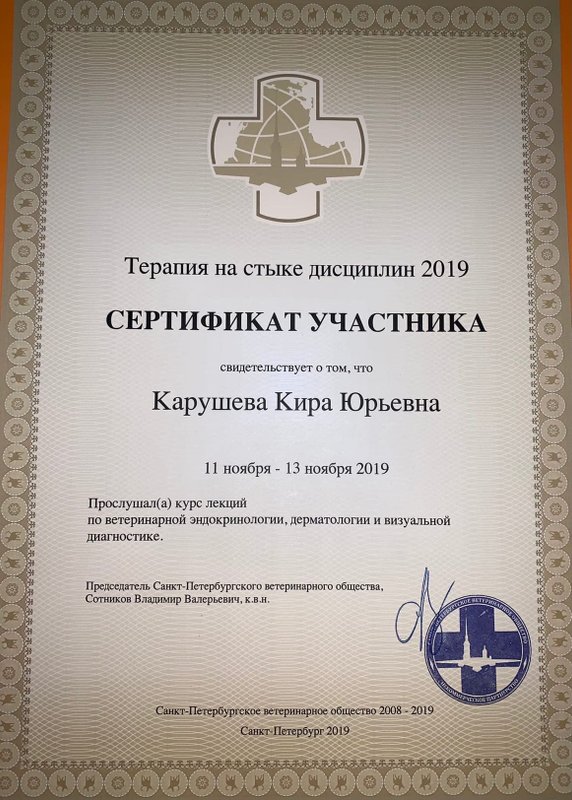 Документ или сертификат