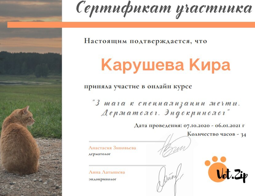 Документ или сертификат