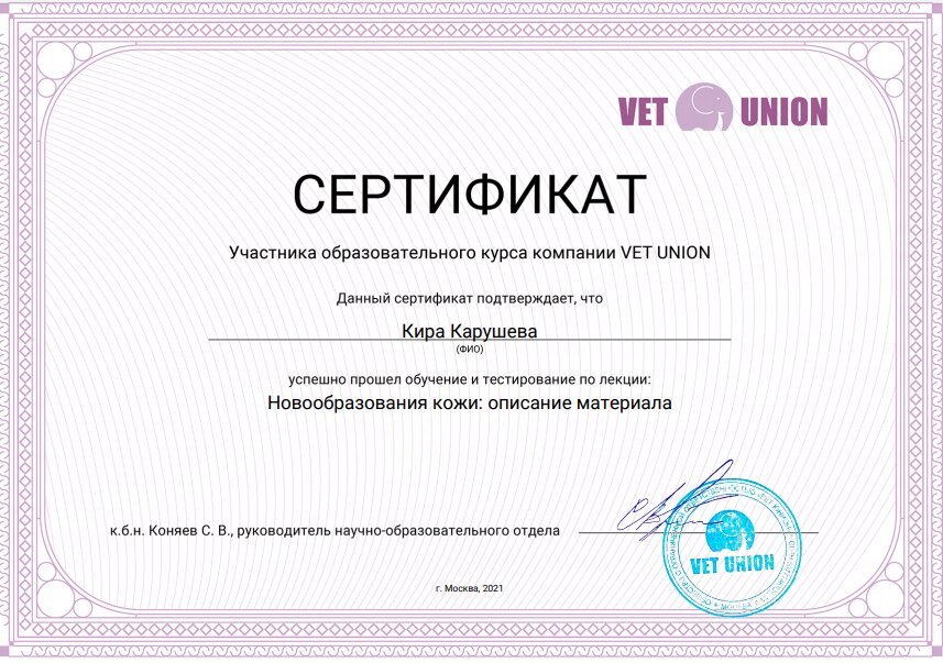 Документ или сертификат