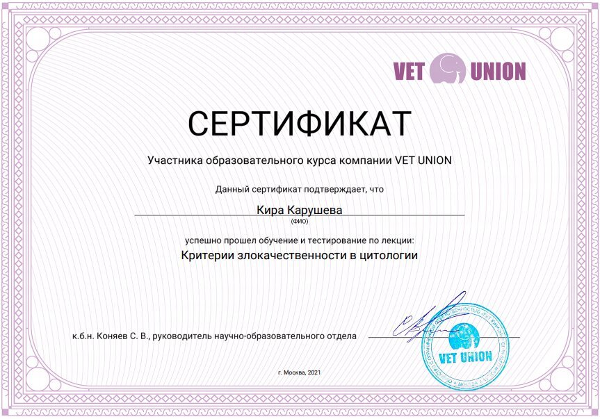 Документ или сертификат