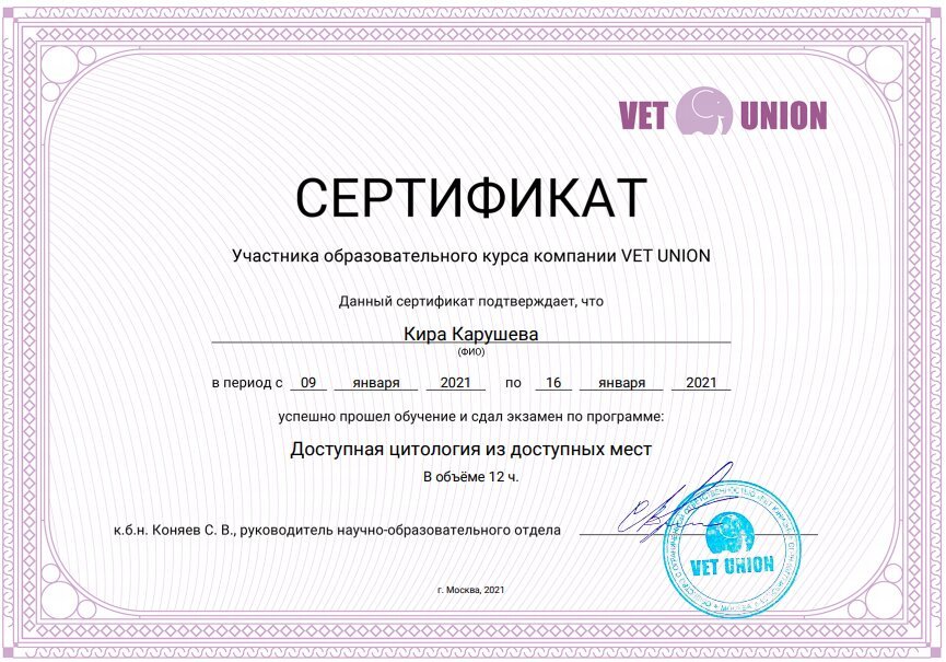 Документ или сертификат