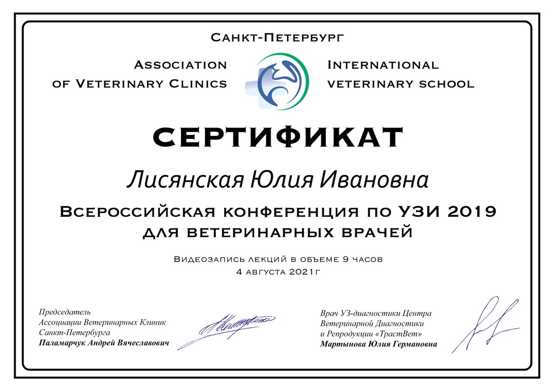 Документ или сертификат