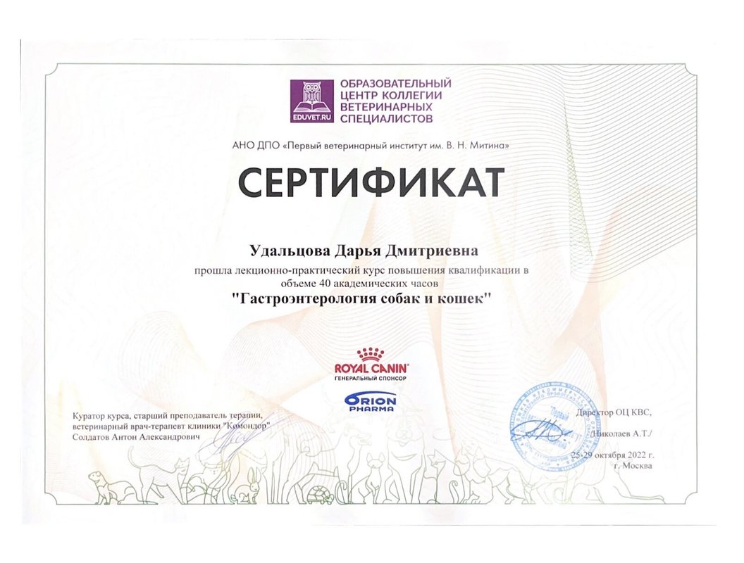 Документ или сертификат