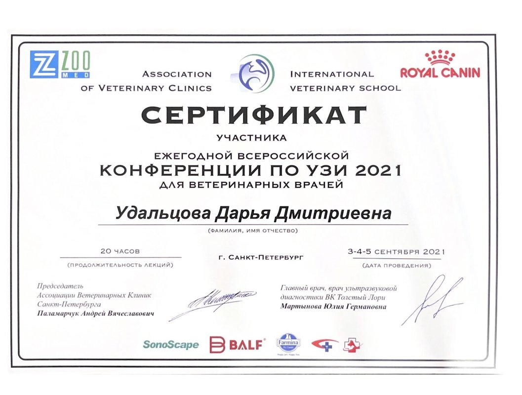Документ или сертификат