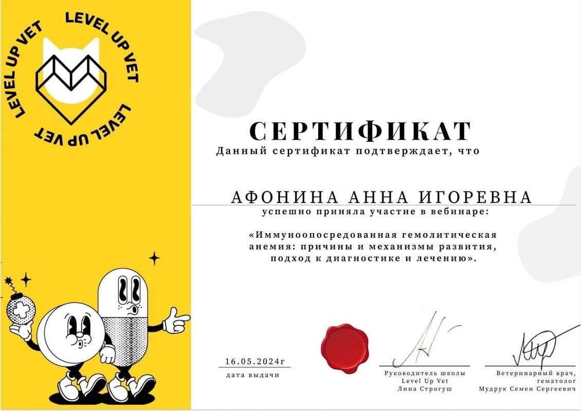 Документ или сертификат