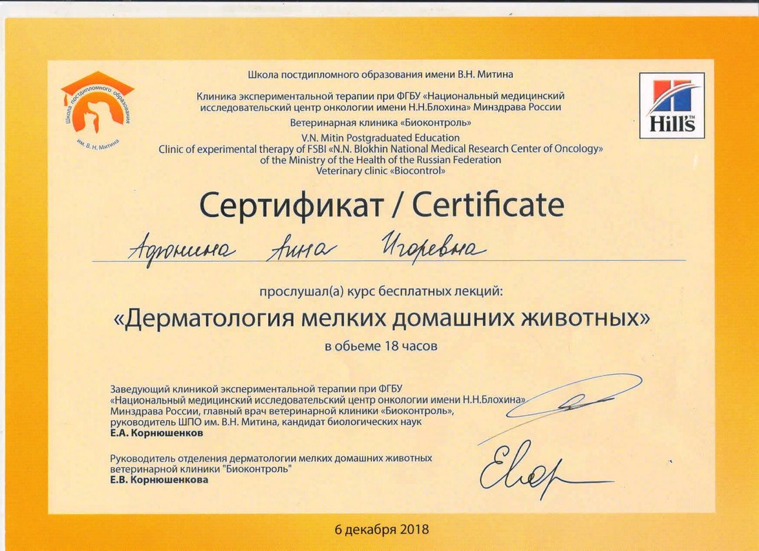 Документ или сертификат